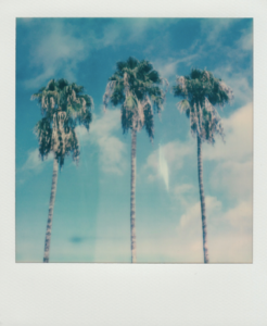 Instagram Frames Polaroid picture